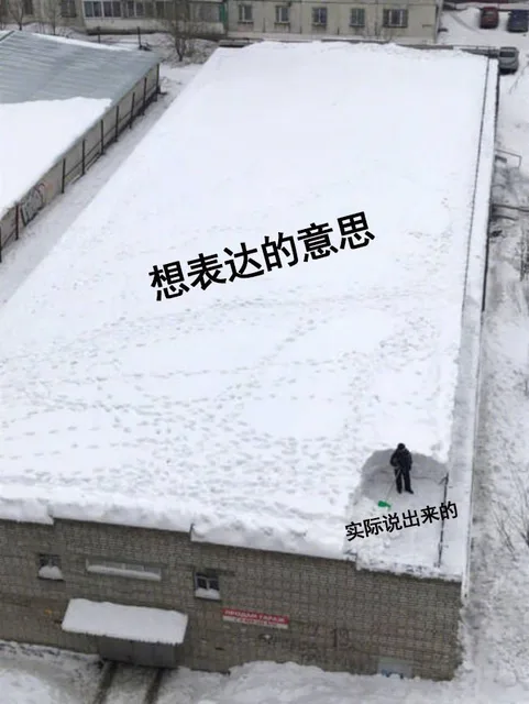 想表达的意思 vs 实际说出来的（雪地）