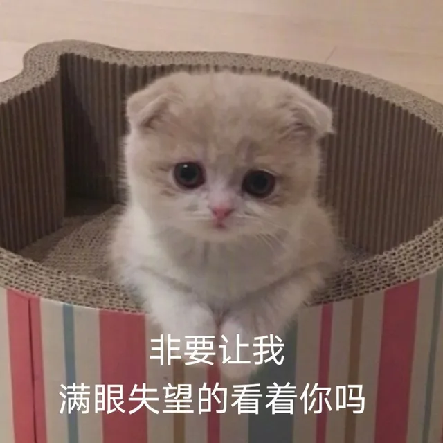 非要让我满眼失望的看着你吗（非要让我满眼失望的看着你吗）
