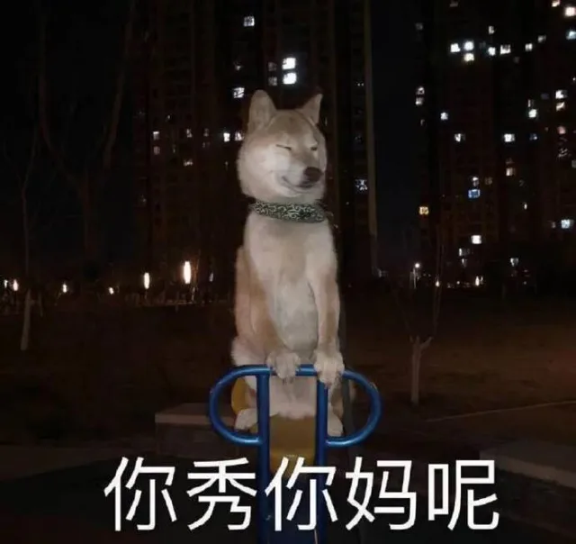 你秀你妈呢（你秀你妈呢）