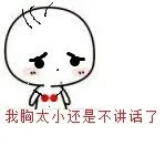 我胸太小还是不讲话了（我胸太小还是不讲话了）