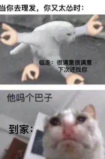 当你去理发，你又太怂时：临走：很满意很满意下次还找你他吗个巴子到家：