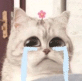 微笑小猫表情包 哭了