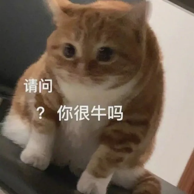 请问?你很牛吗（请问?你很牛吗）