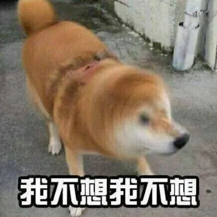 我不想 我不想 狗子摇头（我不想 我不想 狗子摇头）