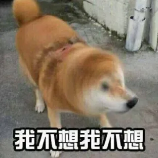 我不想 我不想 狗子摇头