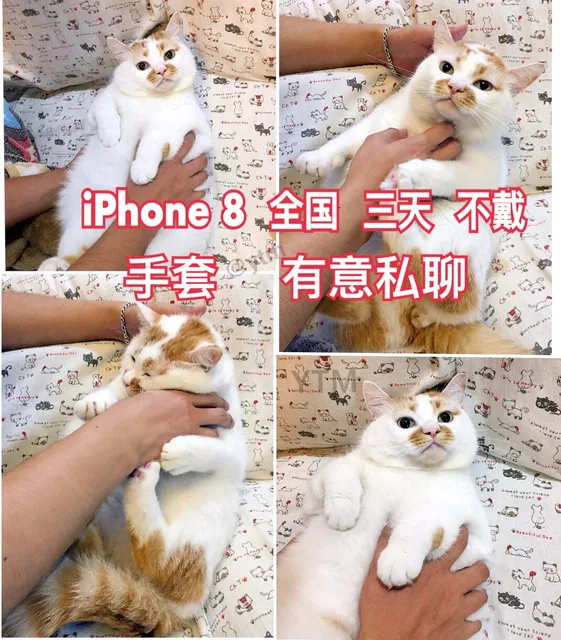 iphone8 全国 三天 不戴手套 有意私聊