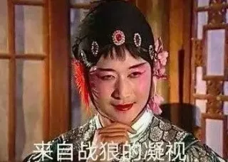 来自战狼的凝视