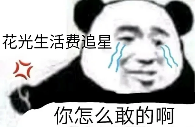 花光生活费追星你怎么敢的啊