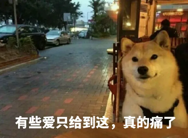 有些爱只给到这，真的痛了