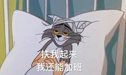 扶我起来我还能加班（扶我起来我还能加班）