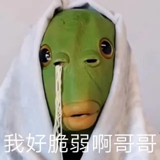 火爆的绿头龟表情包_绿头龟表情包