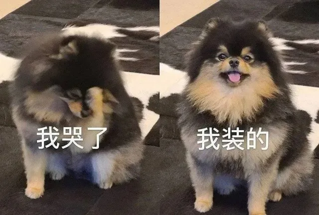 我哭了我装的（我哭了我装的）