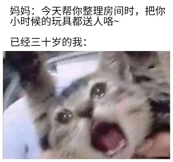 妈妈：今天帮你整理房间时，把你小时候的玩具都送人咯~已经三十岁的我：（妈妈：今天帮你整理房间时，把你小时候的玩具都送人咯~已经三十岁的我：）