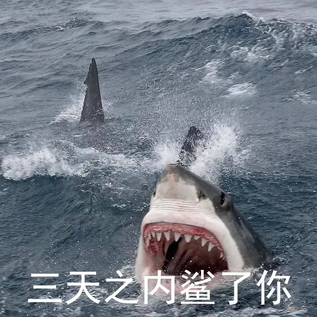 三天之内杀了你