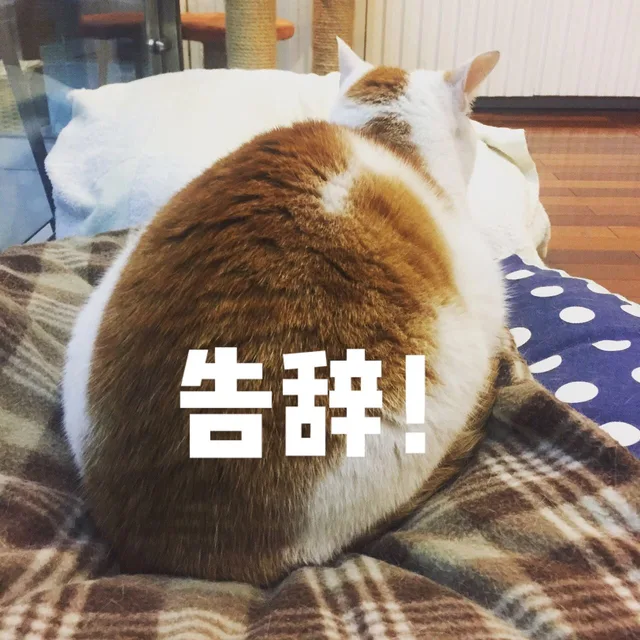 告辞