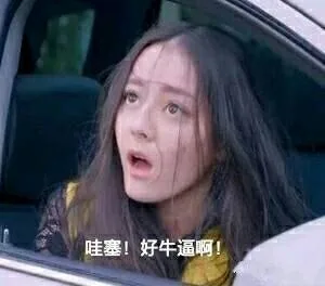 胖迪迪丽热巴表情包_迪丽热巴_迪胖_明星表情