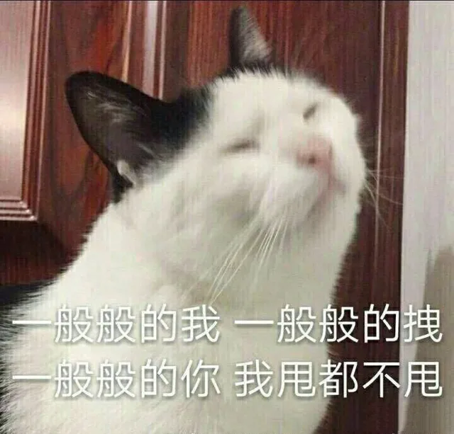一般般的我 一般般的拽；一般般的你 我甩都不甩（一般般的我 一般般的拽；一般般的你 我甩都不甩）