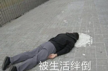 被生活绊倒（被生活绊倒）