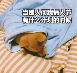 情人节快到了，一波单身狗表情包备用