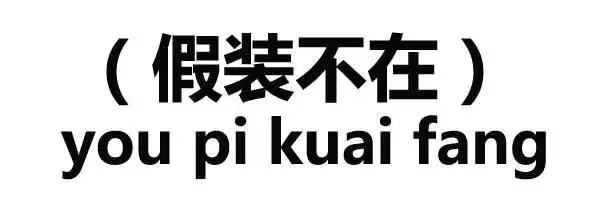 假装不在（you pi kuai fang）（假装不在（you pi kuai fang））