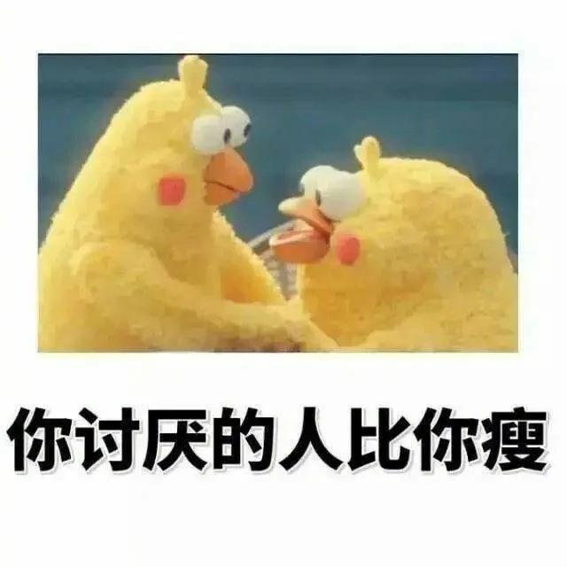 你讨厌的人比你瘦（你讨厌的人比你瘦）