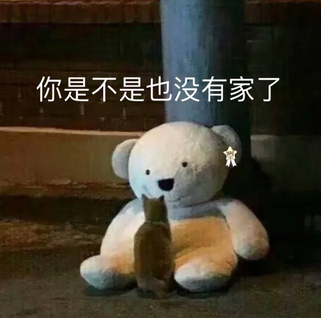 你是不是也没有家了