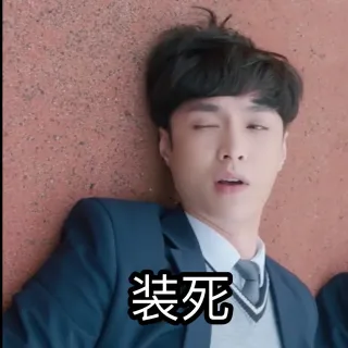 张艺兴求婚大作战表情包_张艺兴_求婚大作战_明星表情表情包