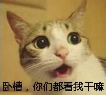 卧槽，你们都看我干嘛（卧槽，你们都看我干嘛）