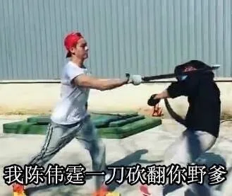 我陈伟霆一刀砍翻你野爹（我陈伟霆一刀砍翻你野爹）