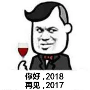 RAV你好,2018再见,2017（RAV你好,2018再见,2017）