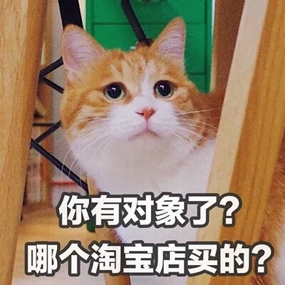 你有对象了？哪个淘宝店买的？（你有对象了？哪个淘宝店买的？）