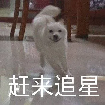 赶来追星（赶来追星）