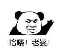 哈喽！老婆！（哈喽！老婆！）