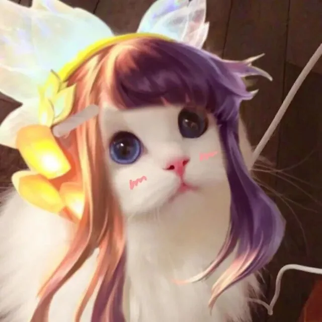 王者荣耀猫头头像4