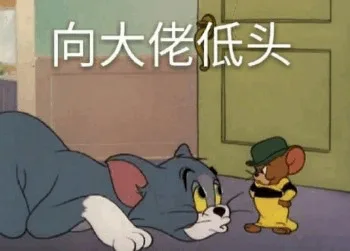 向大佬低头