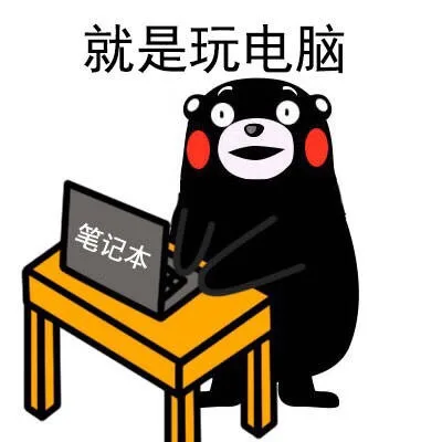 就是玩电脑（就是玩电脑）