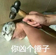 你凶个锤子（用锤子威逼）（你凶个锤子（用锤子威逼））