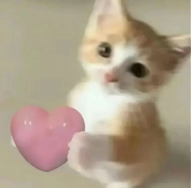 猫猫表情包 小心心给你（猫猫表情包 小心心给你）