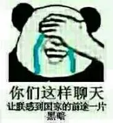 你们这样聊天，让朕感动国家的前途一片黑暗
