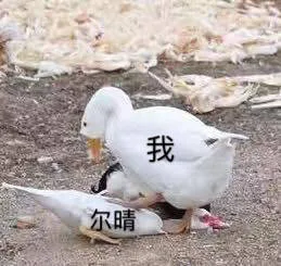我脚踩尔晴（我脚踩尔晴）