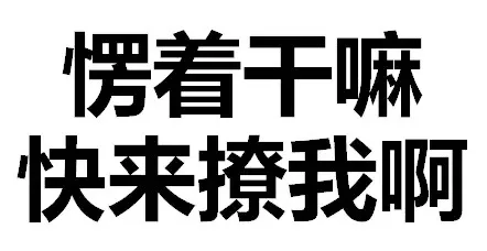 愣着干嘛，快来撩我啊