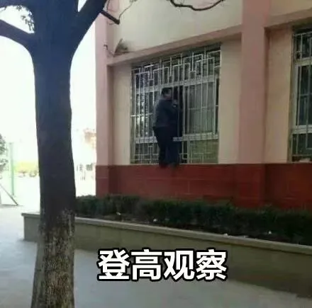 登高观察