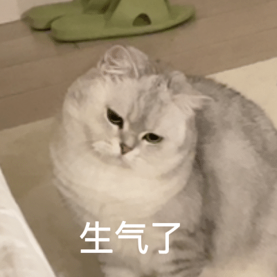 生气了（生气了）