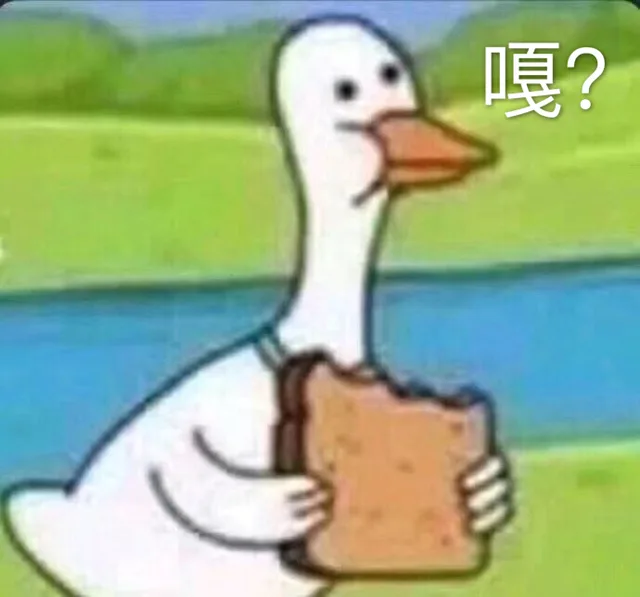 嘎？（鸭子）