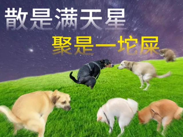 散是满天星聚是一坨屎（散是满天星聚是一坨屎）