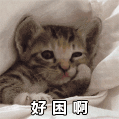 好困啊