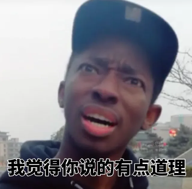 我觉得你说的有点道理（我觉得你说的有点道理）