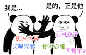 是的，正是他 _熊猫人_装逼_斗图_怼人表情表情包