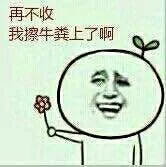 再不收，我擦牛粪上了啊