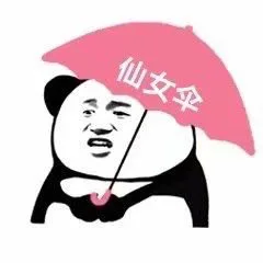 仙女伞（熊猫头打伞）